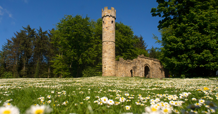Hardwick Countryside Park tower 